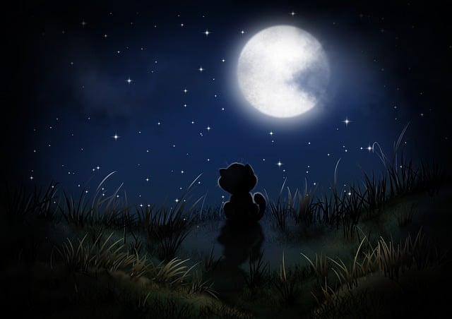Free night kitten wallpaper illustration