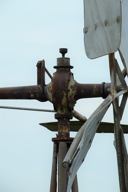 Free Mill Polder photo and picture