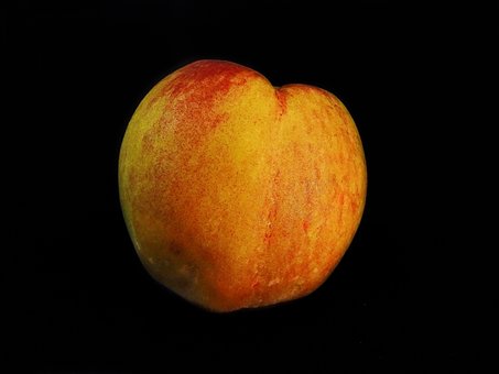 Free Peach Flores photo and picture