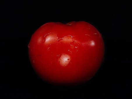 Free Tomate Tomatoe photo and picture
