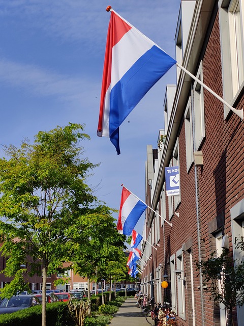 Holland, Flag, Kongelig Dag, Tricolor