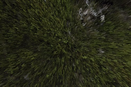 Free Green Nature photo and picture