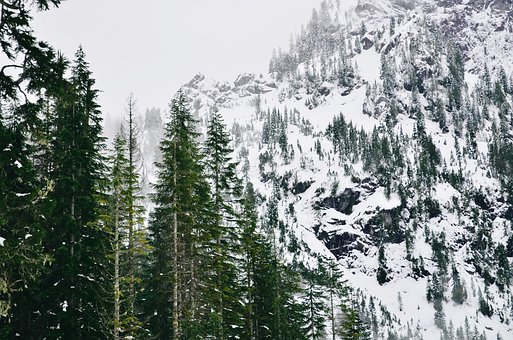 Berge, Schneebedeckt, Alaska, Winter