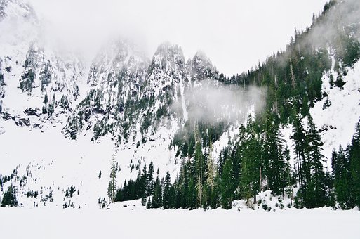 Berge, Nebel, Wald, Alaska, Kanada
