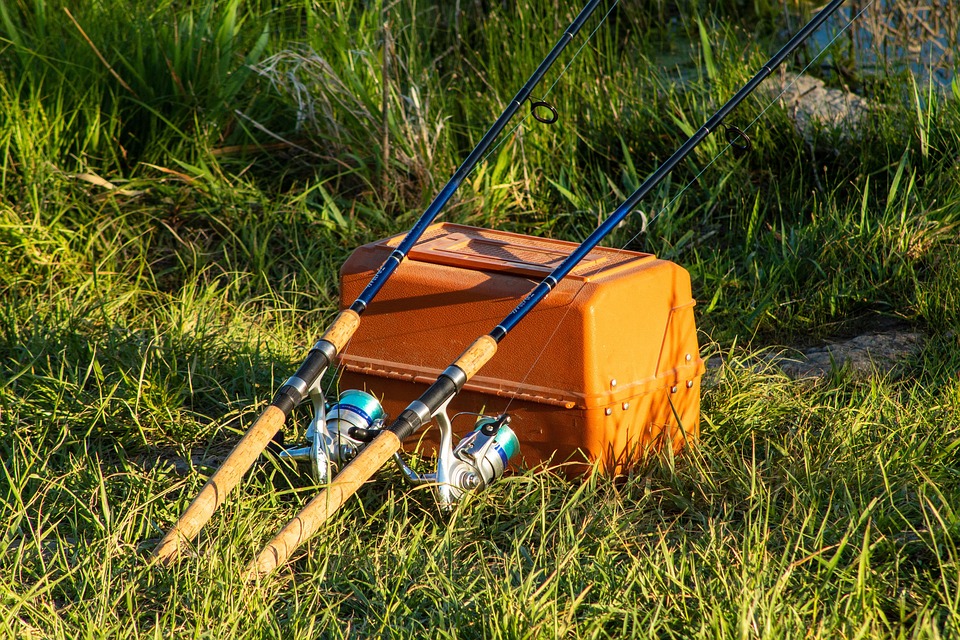 Carp Fishing 101: A Beginner’s Guide to the Perfect Catch