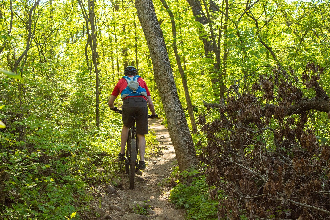 Mountain Bike Cycling Exercise Free photo on Pixabay Pixabay