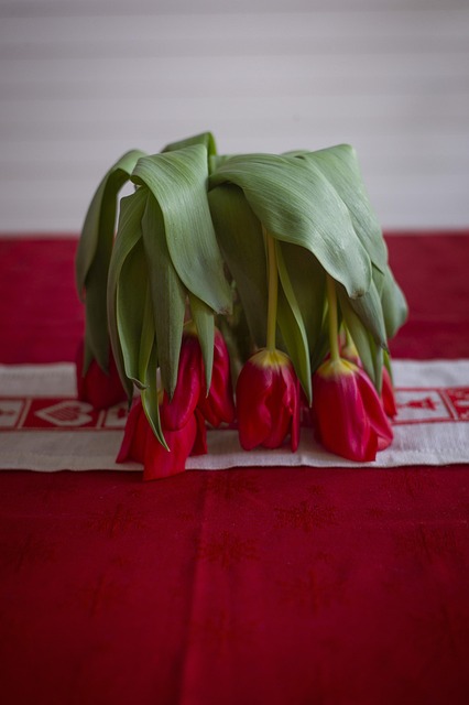 Blomster, Blomst, Afskårne Blomster