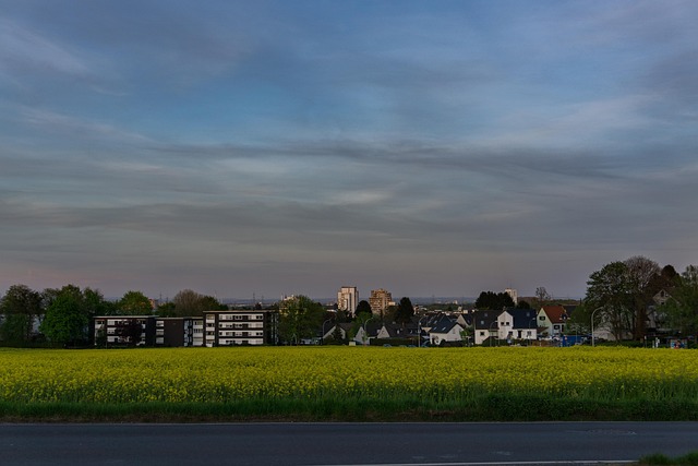Pole Řepky, Město, Členění, Scénický