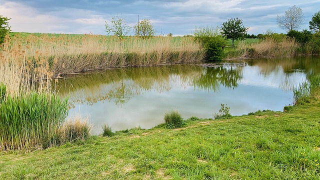 Free Nature Landscape photo and picture