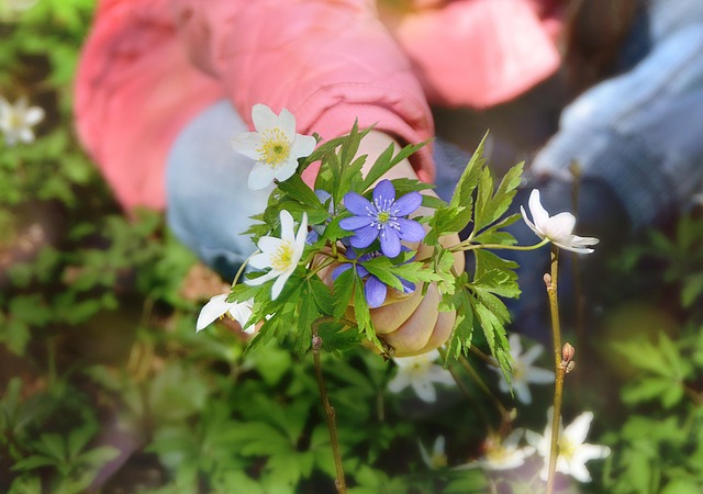 Natur, Sehr Schön, Weiß, Blumentapete