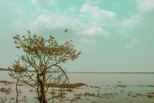 Natureza, Panorama, Descanso, Querida