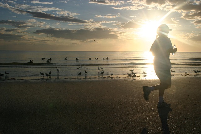 Free Beach Sea photo and picture