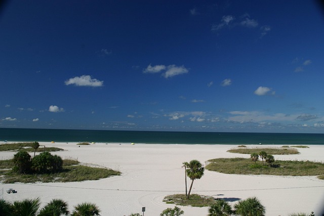 Free Blue Sky Beach photo and picture