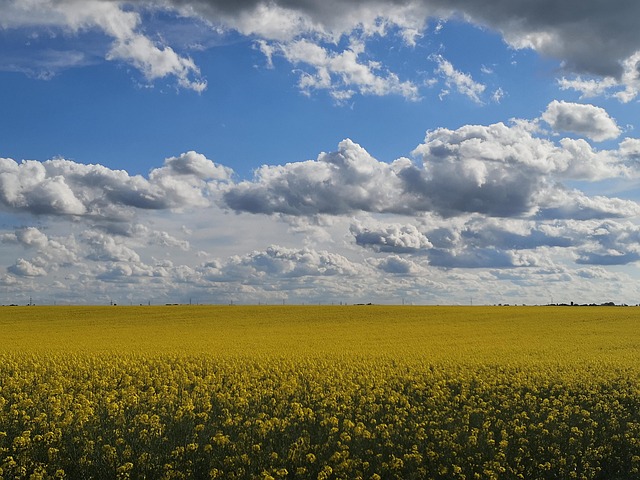 Free Landscape Clouds photo and picture