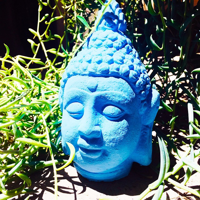 Free Buddha Naturaleza photo and picture
