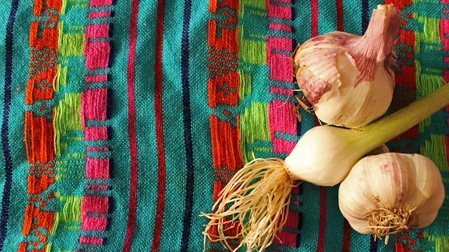 Free Vegetales Cebolla photo and picture