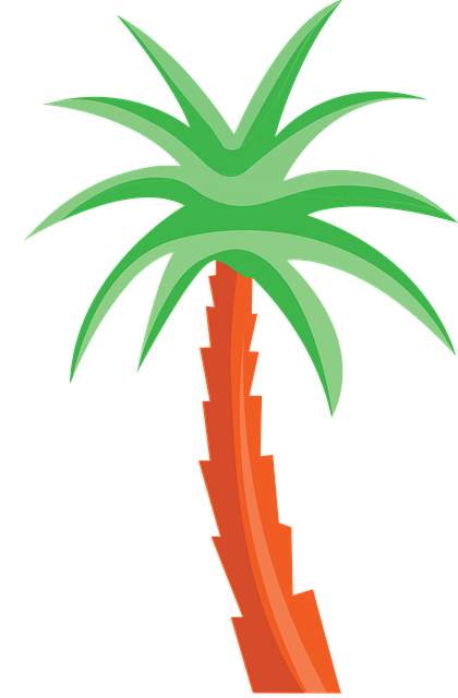 Palma, Árvore Tropical, Árvore De Praia