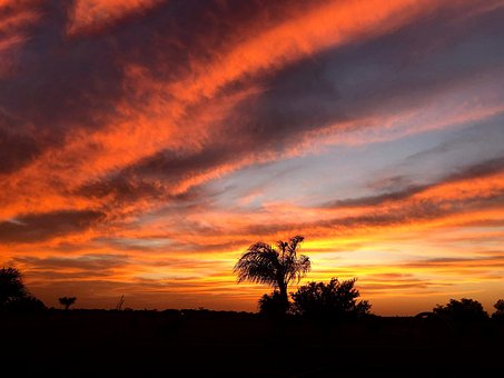 Free Sunset Texas photo and picture