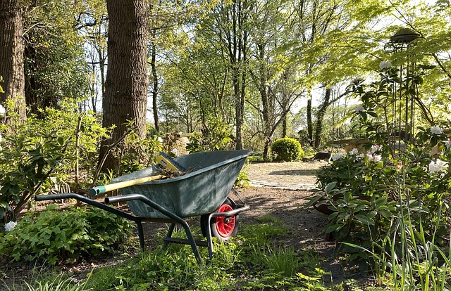 Free Nature Garden photo and picture