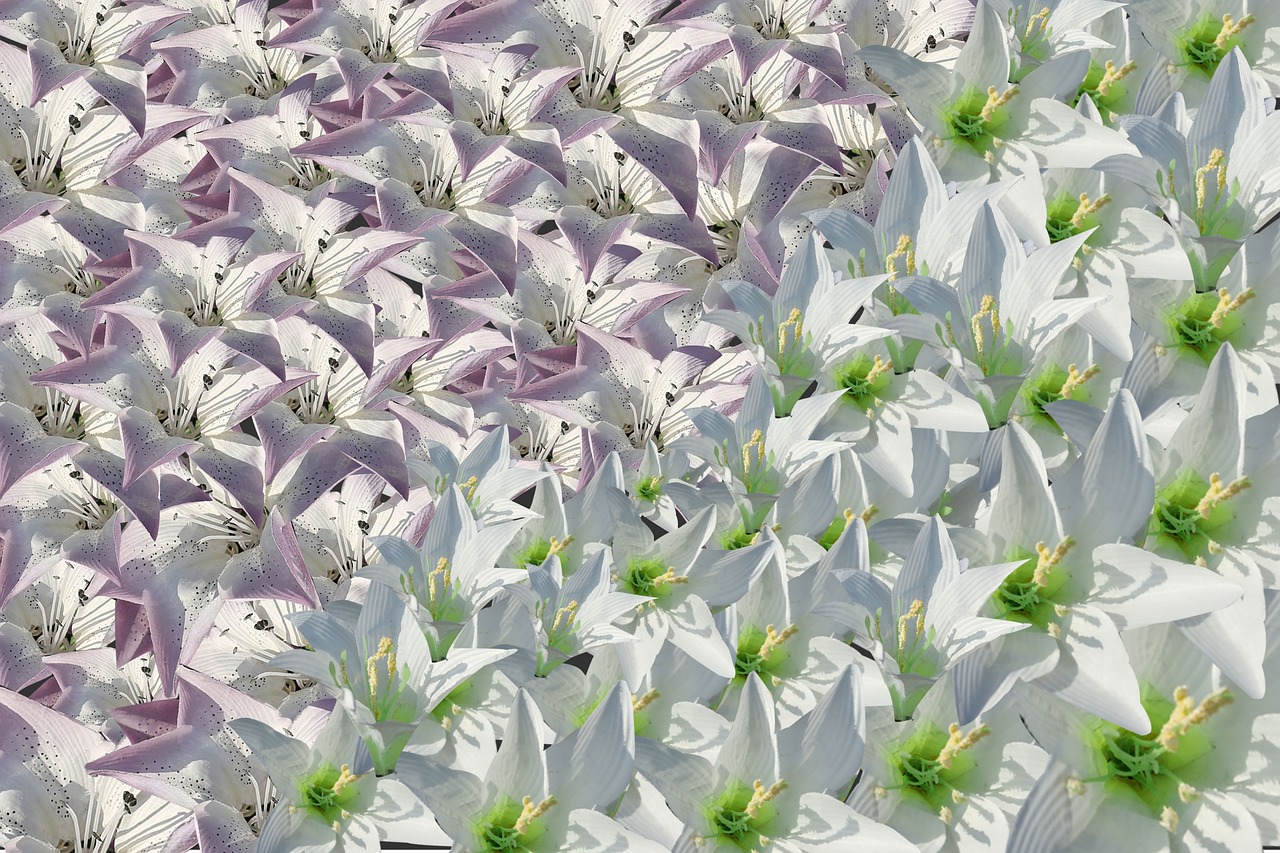 Blossom - free online jigsaw puzzle photo