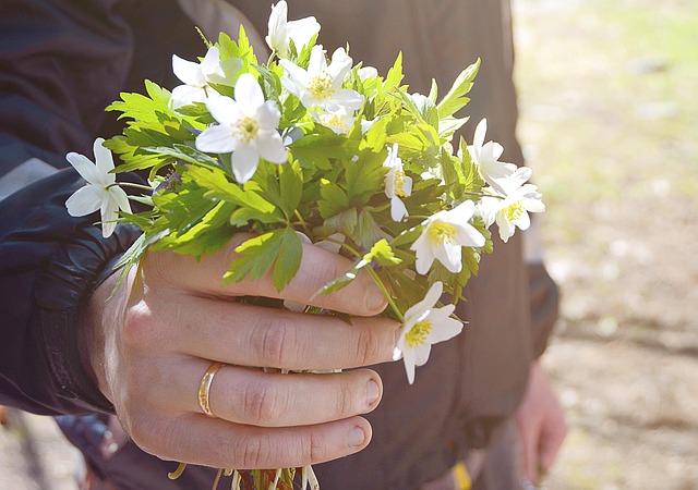 Strauß, Geschenk, Wildblumen, Ehemann