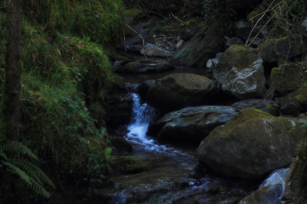 Agua Río Paisaje Al Aire - Foto gratis en Pixabay - Pixabay