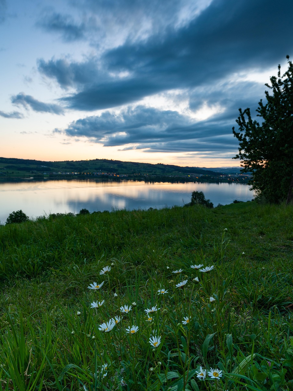 Bootsrevier Sempachersee