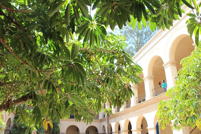 Free Balboa Park California photo and picture