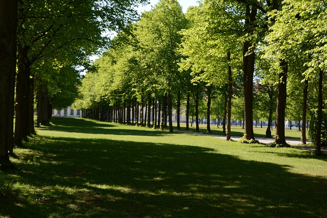 Free Nature Green photo and picture