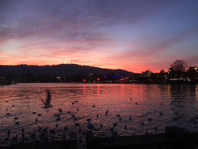 Free Germany Sunset photo and picture