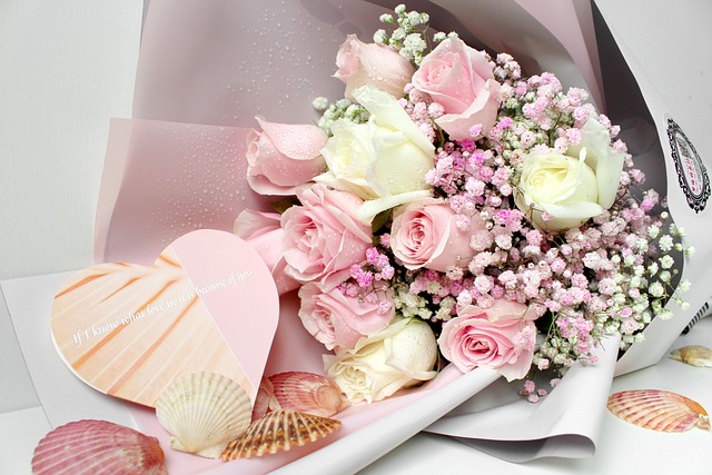 Download free HD stock image of Shell Rose Free Shell Rose photo and picture