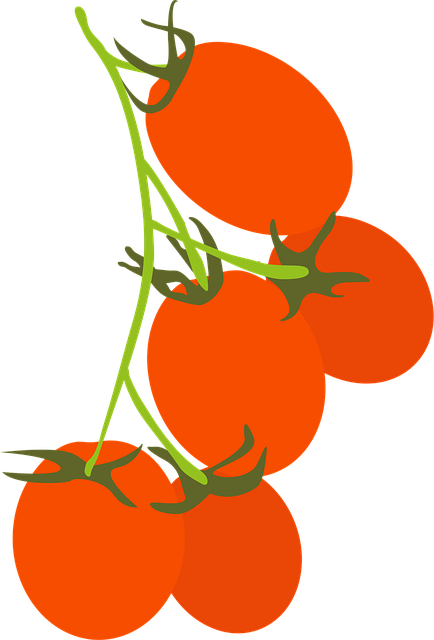 Free Cherry Tomato Eating vector and picture