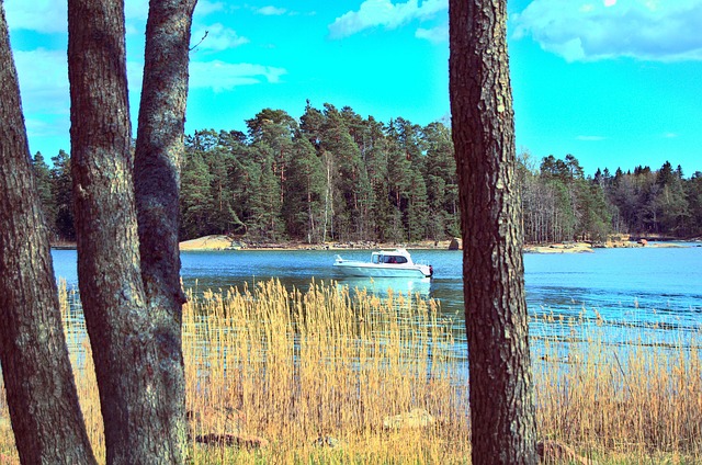 Free Boat Ocean photo and picture