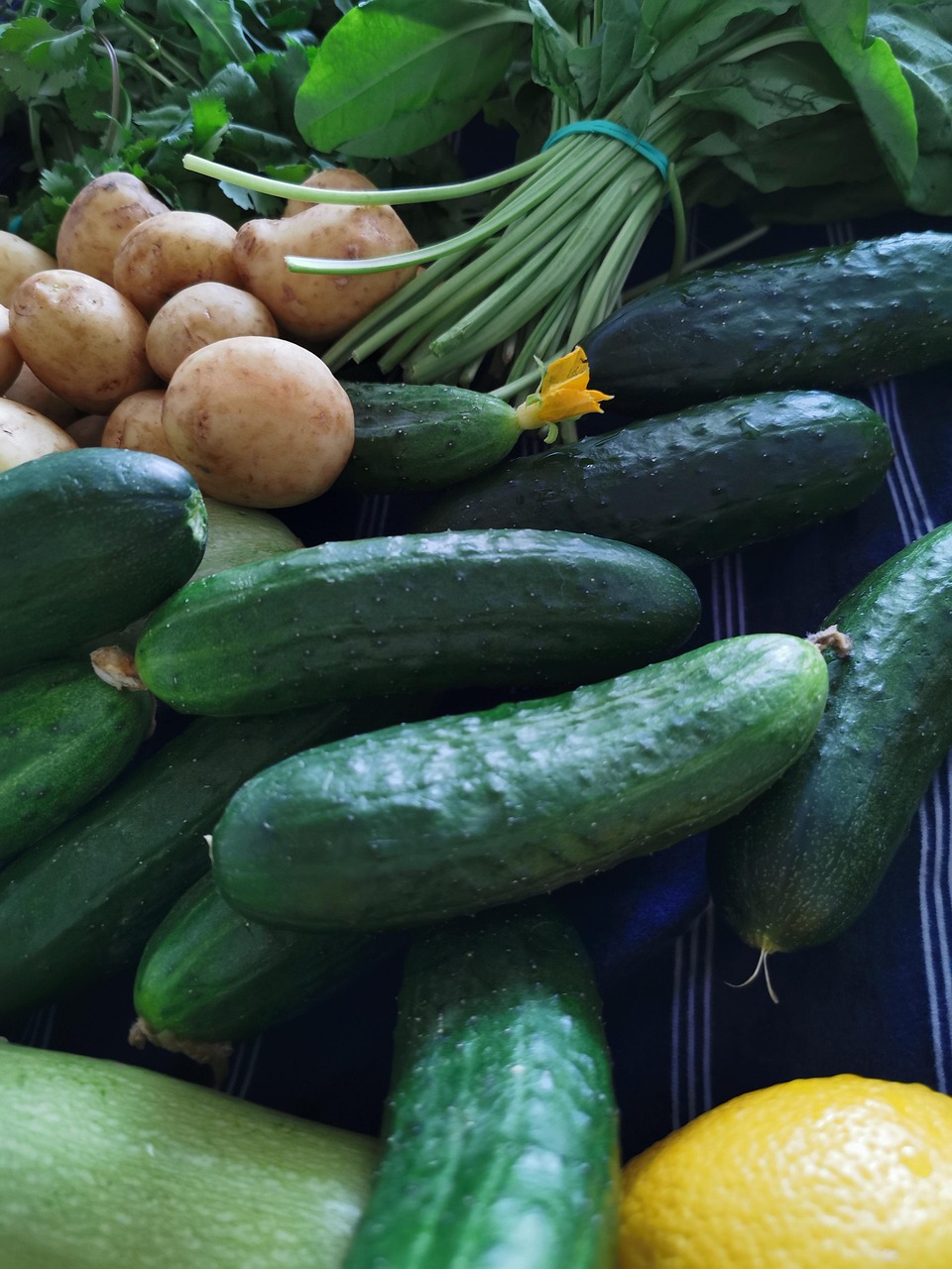 Vegetables Cucumbers Potatoes - Free photo on Pixabay - Pixabay