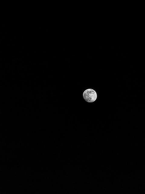 Free Moon Germany photo and picture