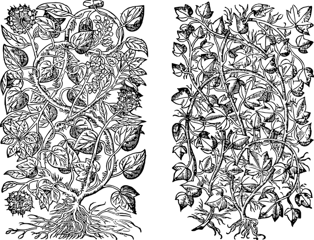 Plantaardige, Bloemen