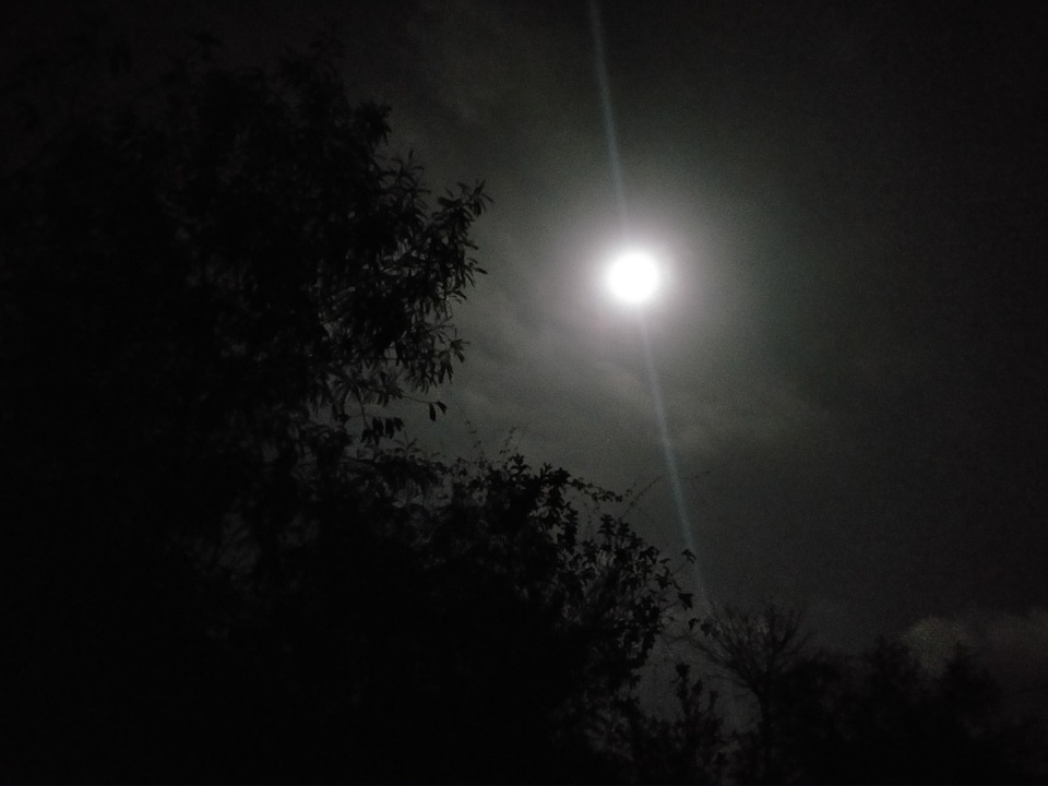 満月の夜 月の光 月 - Pixabayの無料写真 - Pixabay