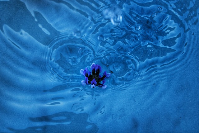 Free Flower Flower Background photo and picture