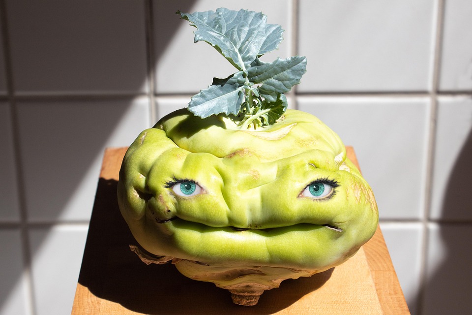 Kohlrabi Cartoon Face Free photo on Pixabay Pixabay