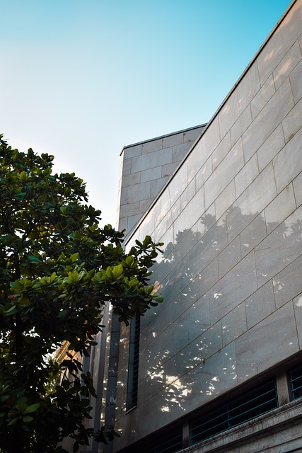 Free Architecture Artist photo and picture