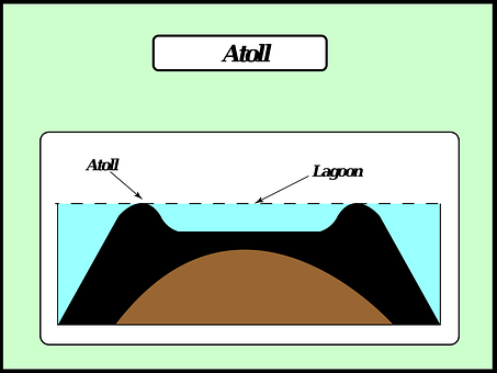 Free Atoll Formation Corals vector and picture