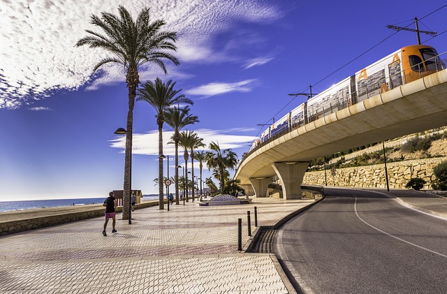 Palmen, Palma, Straßenbahn, Tropisch