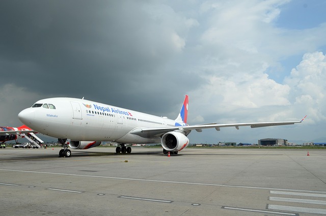 Free International Airport photo and picture