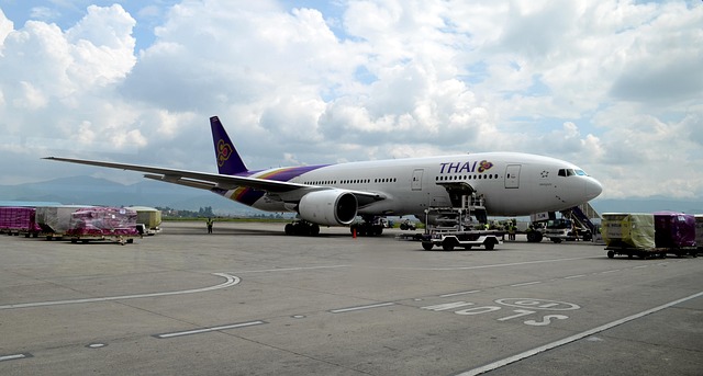 Free International Airport photo and picture