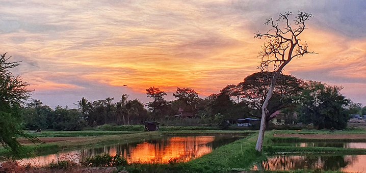 Free Evening Sunset photo and picture