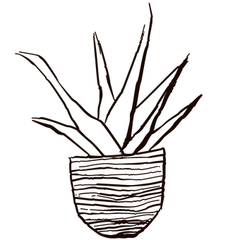 Planta, Naturaleza, Suculento, Primavera