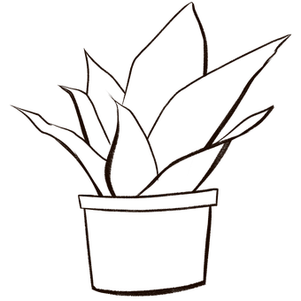 Planta, Naturaleza, Suculento, Primavera