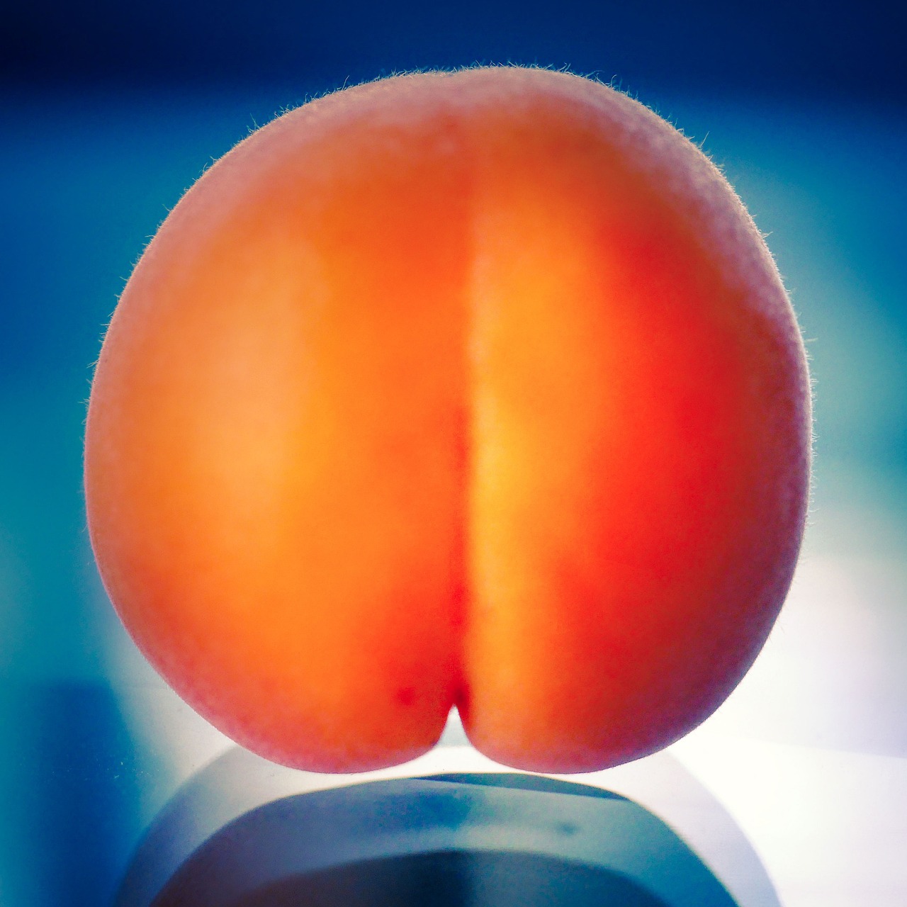 Apricot - free online jigsaw puzzle photo