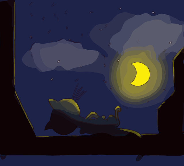 Free cat night moon vector