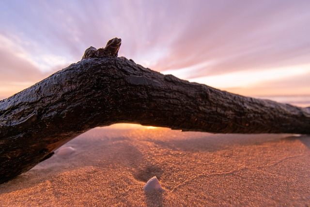 Free Sand Beach photo and picture